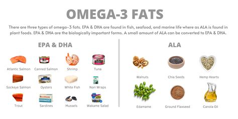 omega dietitians of canada|Food Sources of Omega.